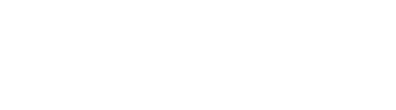 Cameralisatie